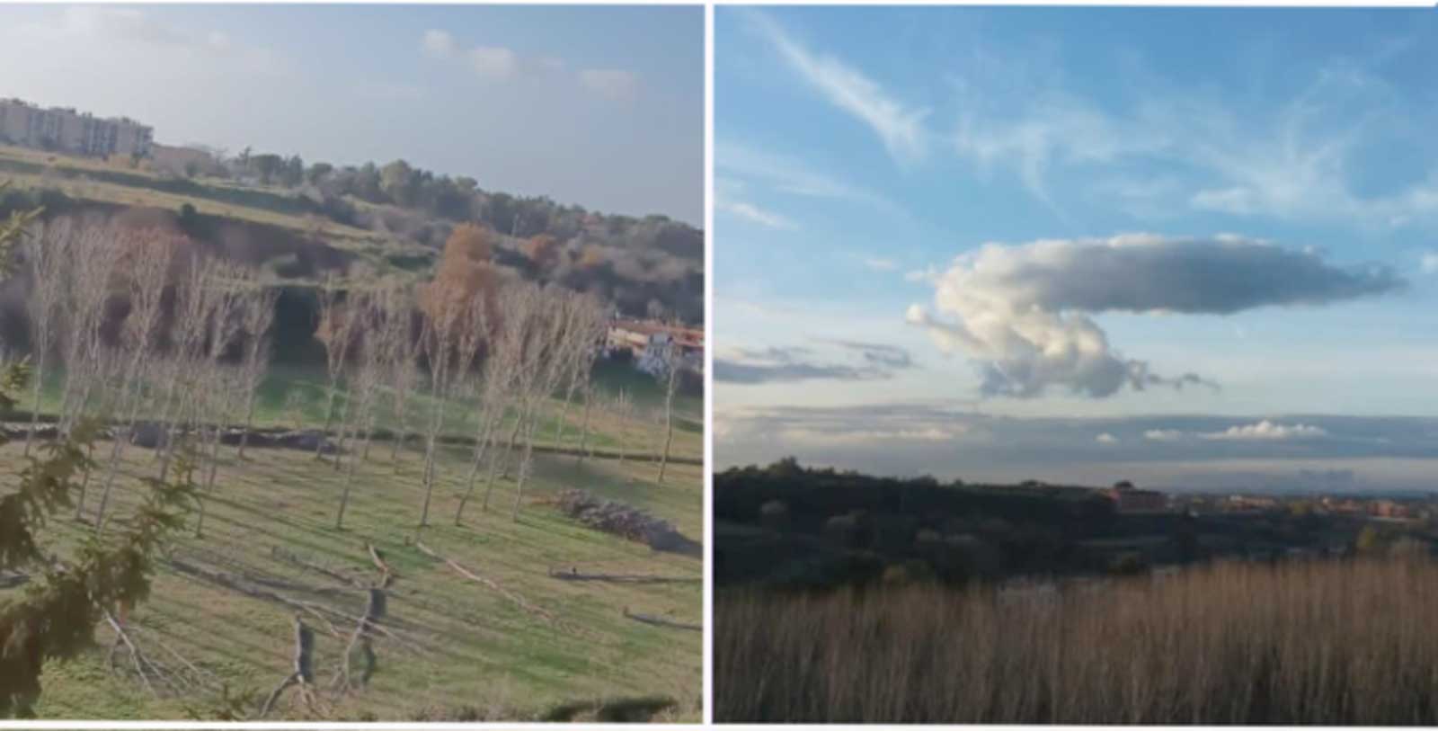 Roma, doppia immagine della foresta urbana scomparsa in zona via Busso