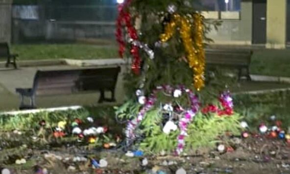 albero di natale vandalizzato a Casal Monastero (Roma)