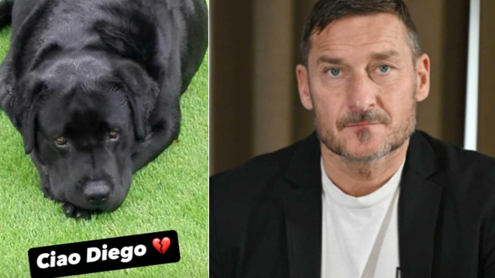 Roma, a sinistra il cane Diego, a destra Francesco Totti